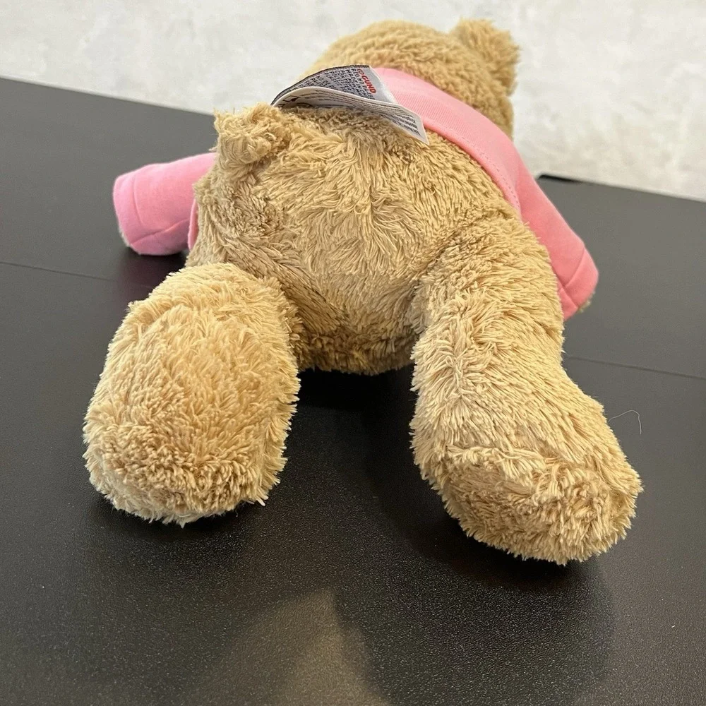 Gund Brown Teddy Bear Pink GET WELL Shirt Gift